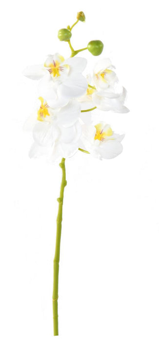 Orchidea Phalaenopsis Artificiale 60 Cm Bianco 6 Fiori