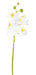 Orchidea Phalaenopsis Artificiale 60 Cm Bianco 6 Fiori