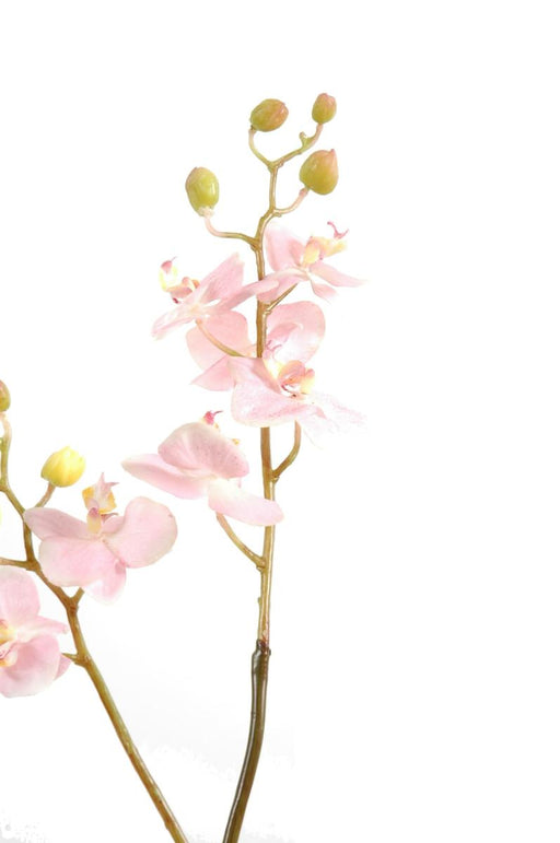 Orchidea Phalaenopsis Artificiale 70 Cm Rosa 7 Fiori