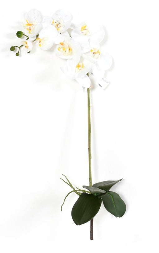 Orchidea Phalaenopsis Artificiale 76 Cm Bianca