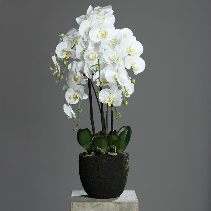 Orchidea Phalaenopsis Artificiale 85Cm Crema