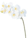 Orchidea Phalaenopsis Artificiale 9 Fiori 98 Cm Bianco