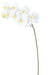 Orchidea Phalaenopsis Artificiale 9 Fiori 98 Cm Bianco