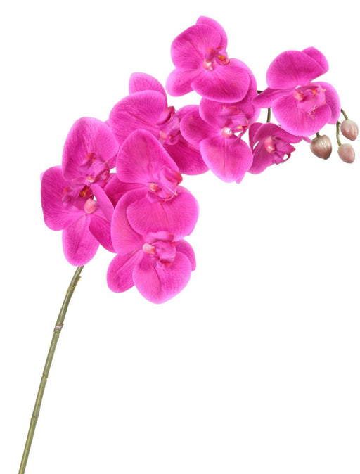 Orchidea Phalaenopsis Artificiale 9 Fiori Fucsia 98Cm