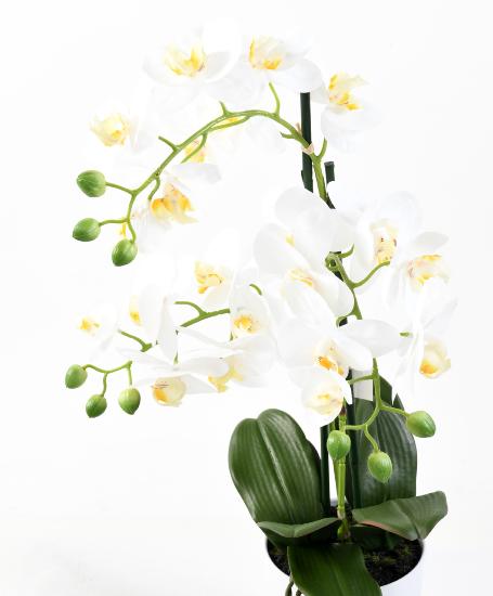 Orchidea Phalaenopsis Artificiale Con Vaso Bianco 60Cm
