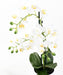 Orchidea Phalaenopsis Artificiale Con Vaso Bianco 60Cm