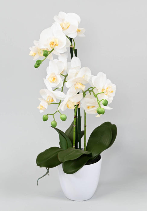 Orchidea Phalaenopsis Artificiale Con Vaso Bianco 60Cm