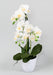 Orchidea Phalaenopsis Artificiale Con Vaso Bianco 60Cm