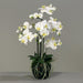 Orchidea Phalaenopsis Artificiale H77Cm Crema