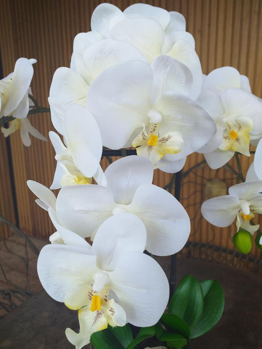 Orchidea Phalaenopsis Artificiale H.55 Cm Crema