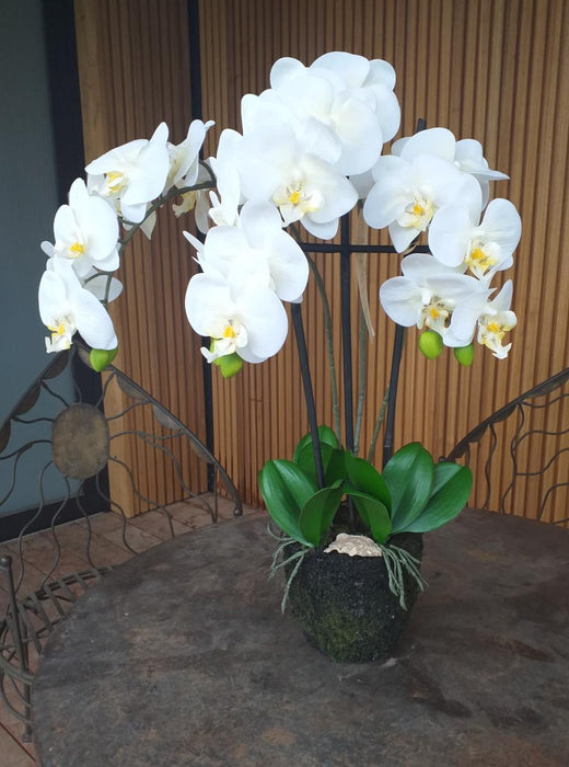 Orchidea Phalaenopsis Artificiale H.55 Cm Crema