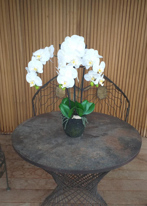 Orchidea Phalaenopsis Artificiale H.55 Cm Crema
