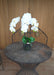 Orchidea Phalaenopsis Artificiale H.55 Cm Crema