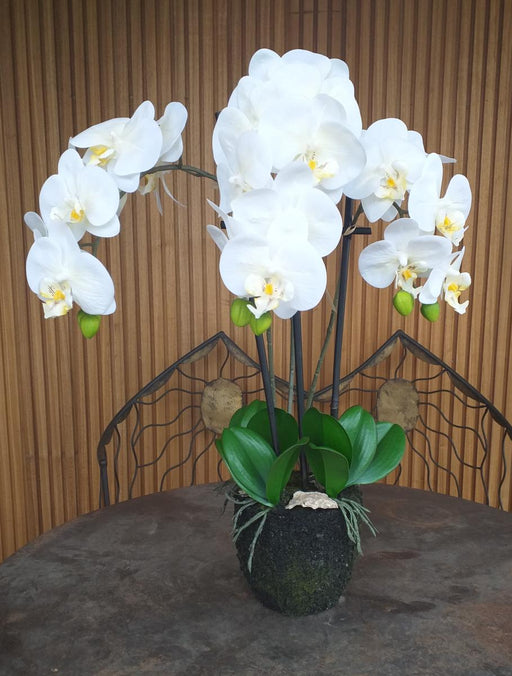 Orchidea Phalaenopsis Artificiale H.55 Cm Crema