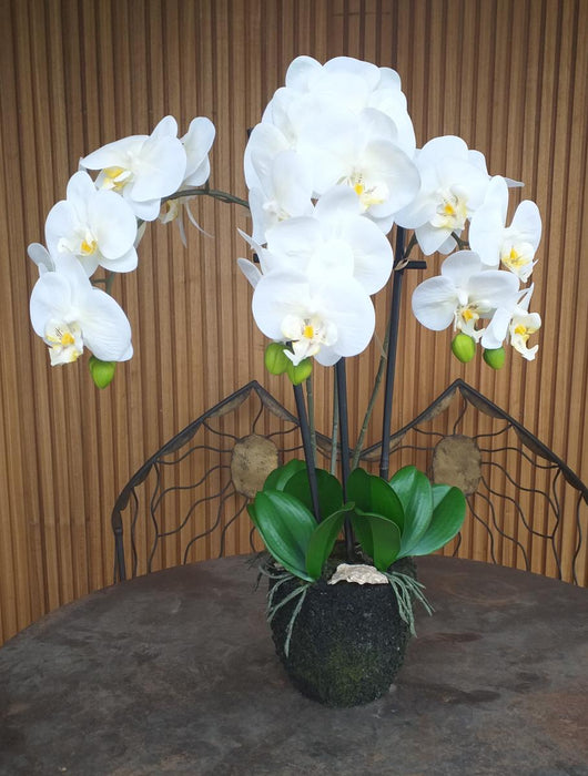 Orchidea Phalaenopsis Artificiale H.55 Cm Crema