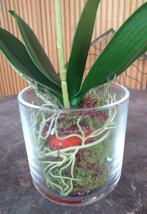 Vaso In Vetro Per Orchidea Phalaenopsis Artificiale, 42 Cm, Color Crema