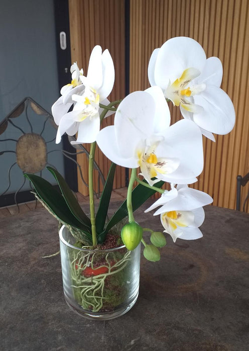 Vaso In Vetro Per Orchidea Phalaenopsis Artificiale, 42 Cm, Color Crema