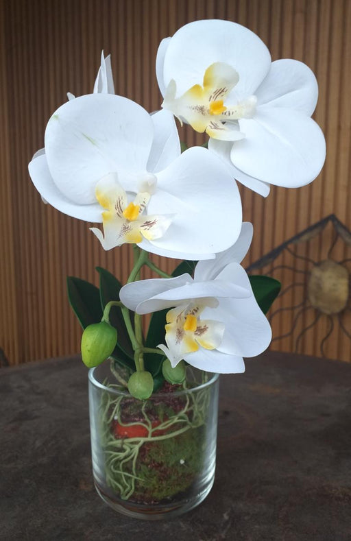 Vaso In Vetro Per Orchidea Phalaenopsis Artificiale, 42 Cm, Color Crema