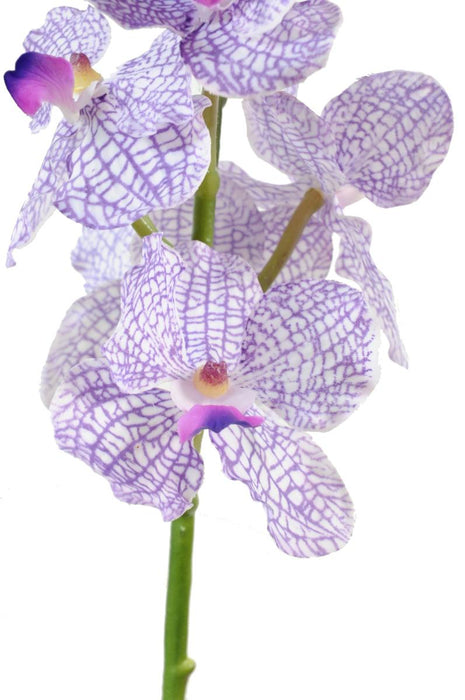 Orchidea Vanda Artificiale 60 Cm Viola Bianco