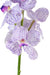 Orchidea Vanda Artificiale 60 Cm Viola Bianco
