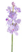 Orchidea Vanda Artificiale 60 Cm Viola Bianco