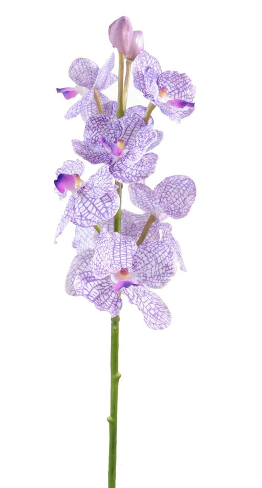 Orchidea Vanda Artificiale 60 Cm Viola Bianco
