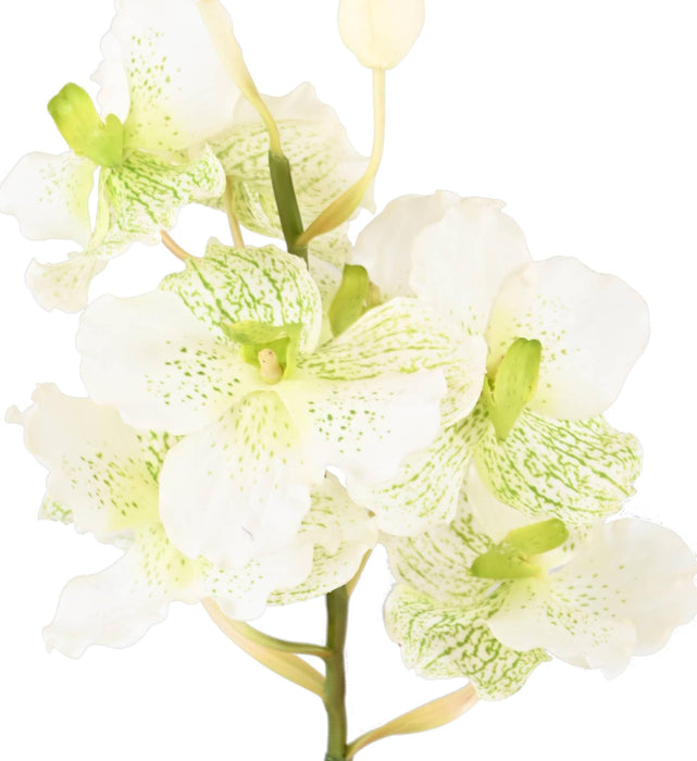 Orchidea Vanda Artificiale 70 Cm Bianca Decorativa