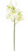Orchidea Vanda Artificiale 70 Cm Bianca Decorativa