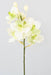 Orchidea Vanda Artificiale 70 Cm Bianca Decorativa