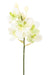 Orchidea Vanda Artificiale 70 Cm Bianca Decorativa