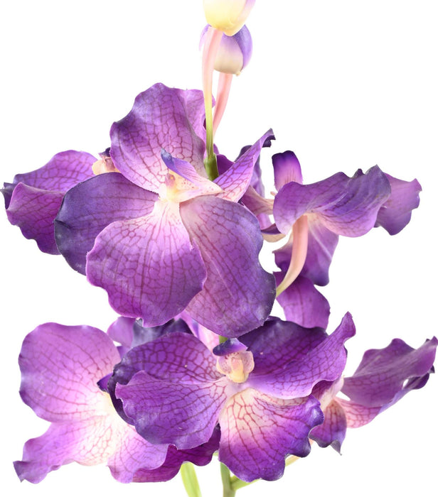 Orchidea Vanda Artificiale Viola 70 Cm Decorazione