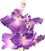 Orchidea Vanda Artificiale Viola 70 Cm Decorazione