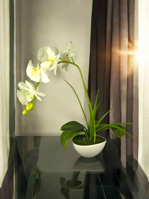 Orchidea Artificiale Bianca In Vaso