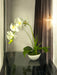 Orchidea Artificiale Bianca In Vaso