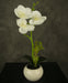 Orchidea Artificiale Bianca In Vaso