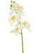 Orchidea Artificiale Bianca