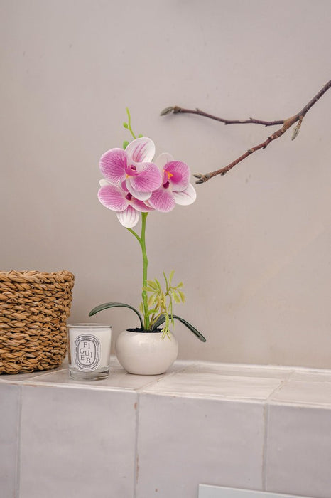 Orchidea Artificiale Bianca/Rosa In Vaso