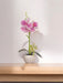 Orchidea Artificiale Bianca/Rosa In Vaso