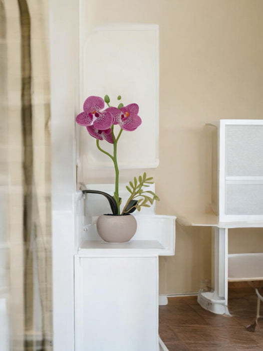 Orchidea Fucsia Artificiale In Vaso