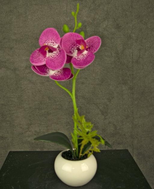 Orchidea Fucsia Artificiale In Vaso