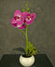 Orchidea Fucsia Artificiale In Vaso