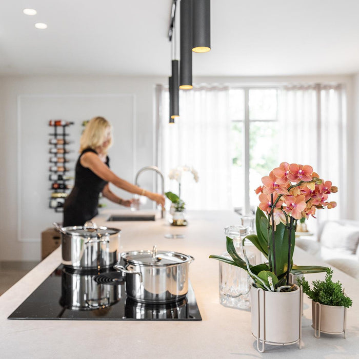 Orchidee Arancioni - Set Di 2