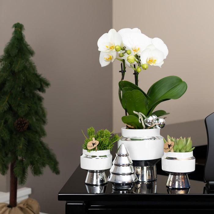 Ornamento Per Albero Di Natale In Ceramica Bianca