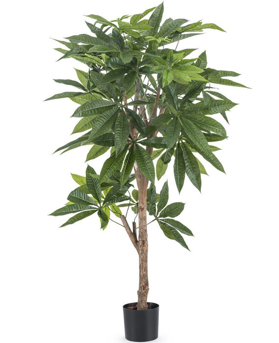 Pachira Intrecciata - Grande Pianta Artificiale