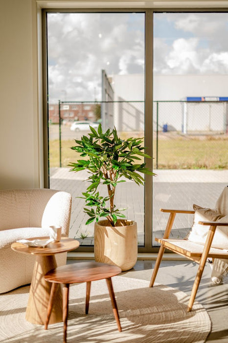 Pachira Intrecciata - Grande Pianta Artificiale