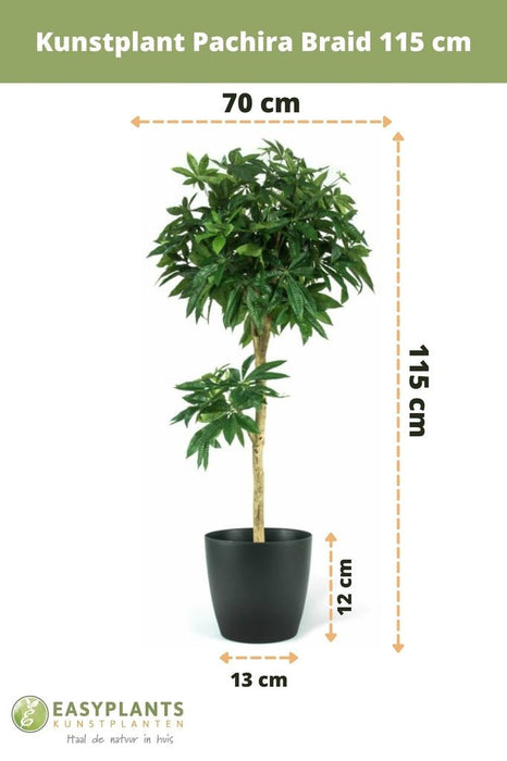 Pachira Intrecciata - Grande Pianta Artificiale