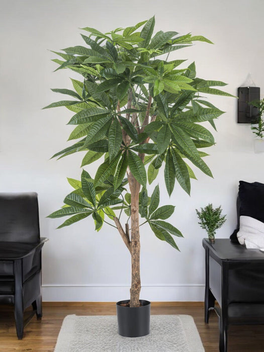 Pachira Intrecciata - Grande Pianta Artificiale