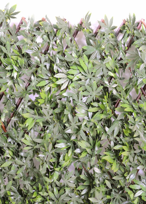 Palizzata Artificiale Di Aralia Per Terrazza E Balcone