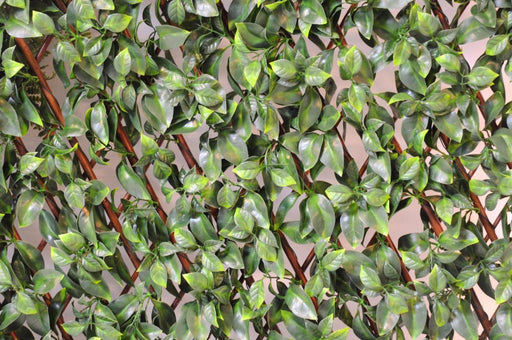 Palizzata Di Fogliame UV Espandibile Per Terrazza