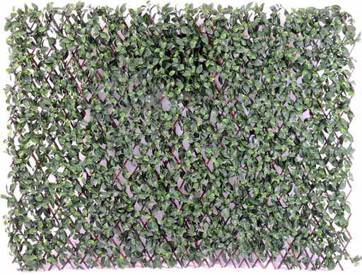 Palizzata Di Fogliame UV Espandibile Per Terrazza